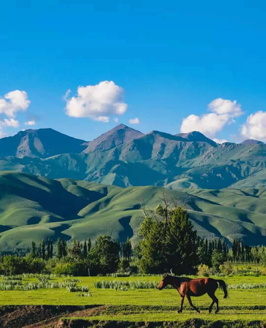 穿越西域，新疆行吟之旅