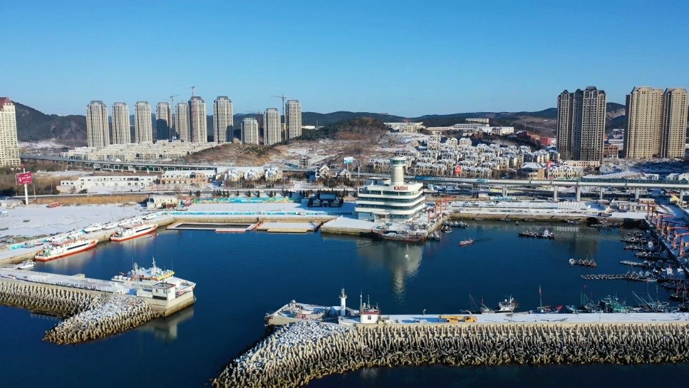 大连盛会,嘉宾云集,观众热情如火